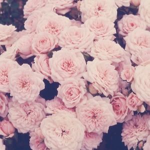 Meet your Posher, Joshleen Quimbo